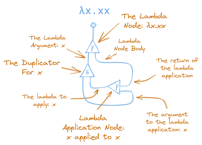 λx.xx as an Interaction Combinator Annotated