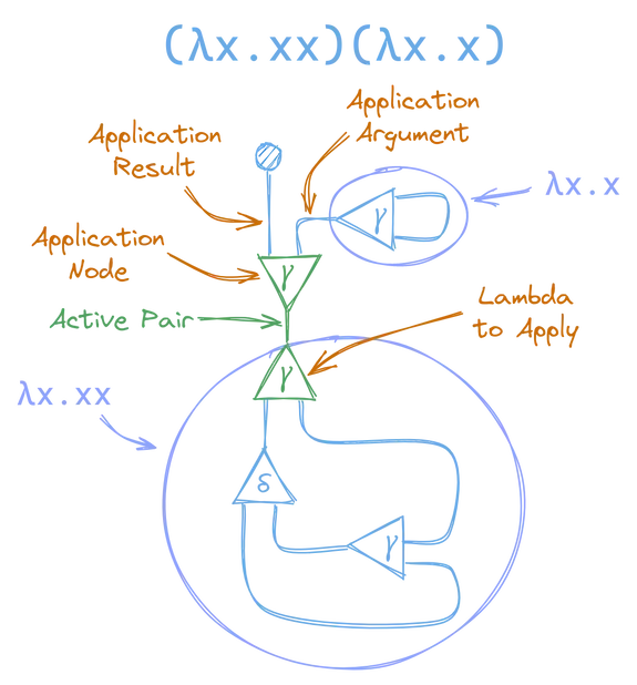 (λx.xx)(λx.x) as an Interaction Combinator Annotated